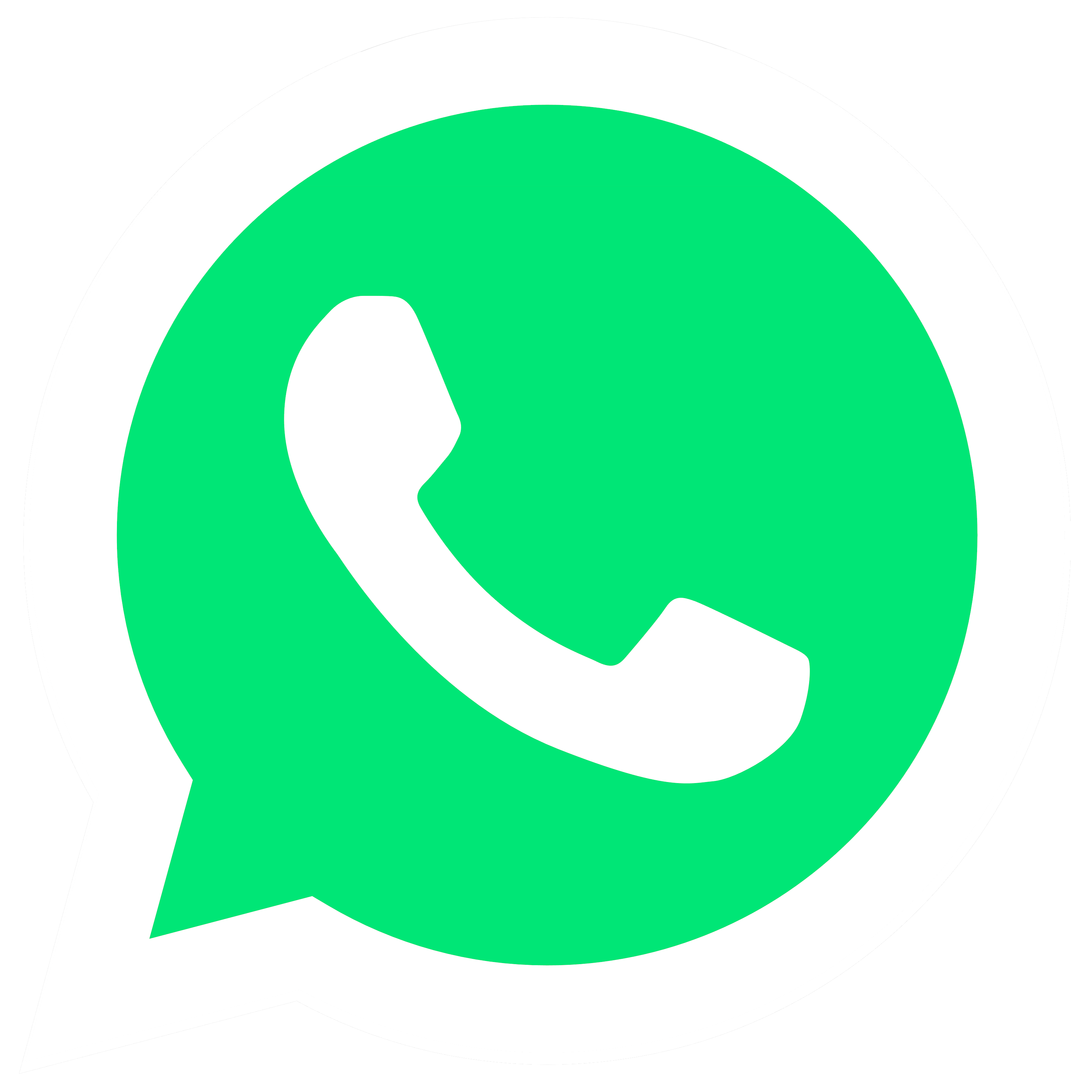 Whatsapp-Button